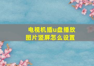 电视机插u盘播放图片竖屏怎么设置