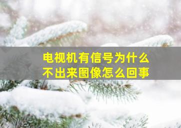 电视机有信号为什么不出来图像怎么回事