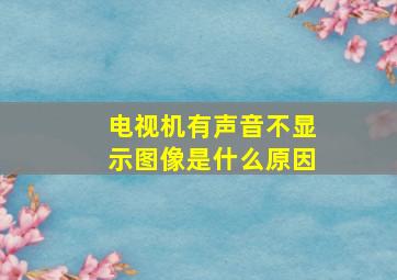 电视机有声音不显示图像是什么原因