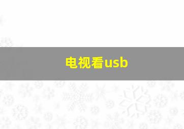 电视看usb