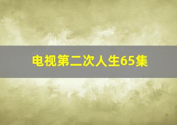 电视第二次人生65集