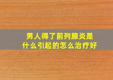 男人得了前列腺炎是什么引起的怎么治疗好