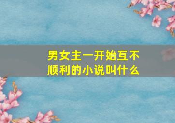 男女主一开始互不顺利的小说叫什么