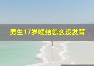 男生17岁喉结怎么没发育