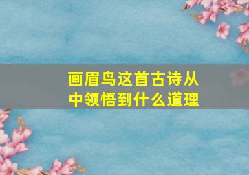 画眉鸟这首古诗从中领悟到什么道理