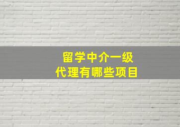 留学中介一级代理有哪些项目