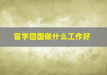 留学回国做什么工作好