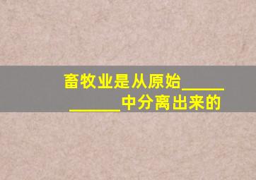 畜牧业是从原始___________中分离出来的