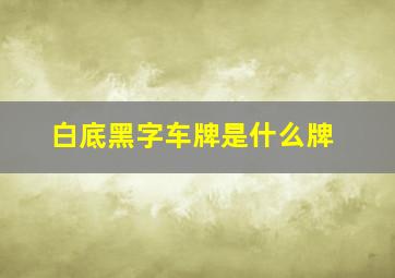 白底黑字车牌是什么牌