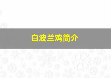 白波兰鸡简介