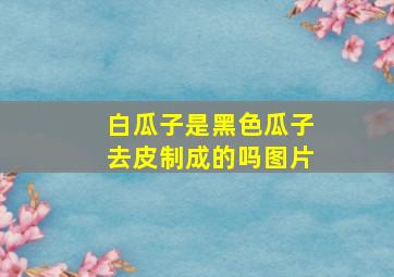 白瓜子是黑色瓜子去皮制成的吗图片