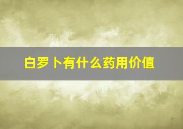 白罗卜有什么药用价值