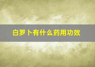 白罗卜有什么药用功效