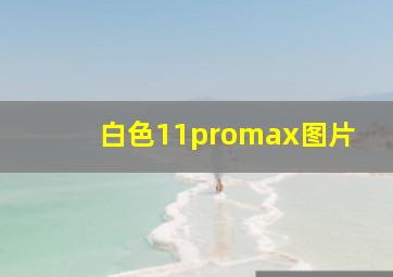 白色11promax图片