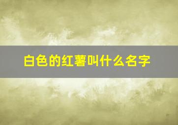 白色的红薯叫什么名字