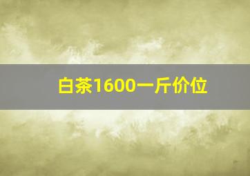 白茶1600一斤价位