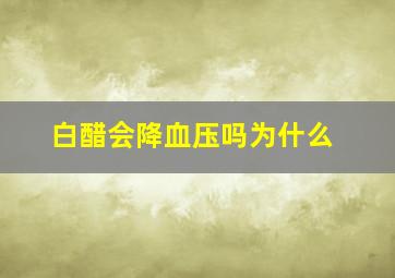 白醋会降血压吗为什么