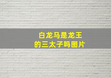 白龙马是龙王的三太子吗图片