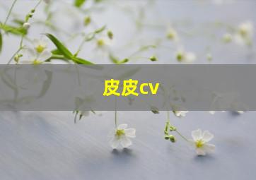 皮皮cv