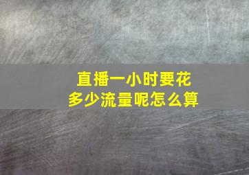 直播一小时要花多少流量呢怎么算