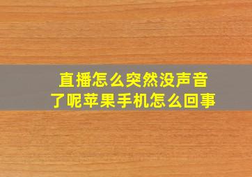 直播怎么突然没声音了呢苹果手机怎么回事