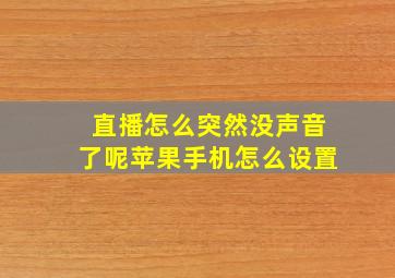 直播怎么突然没声音了呢苹果手机怎么设置