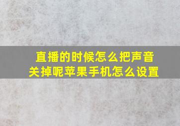 直播的时候怎么把声音关掉呢苹果手机怎么设置