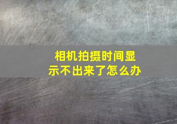 相机拍摄时间显示不出来了怎么办