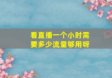 看直播一个小时需要多少流量够用呀