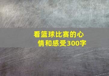 看篮球比赛的心情和感受300字