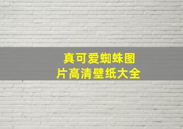 真可爱蜘蛛图片高清壁纸大全