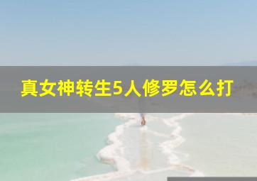 真女神转生5人修罗怎么打