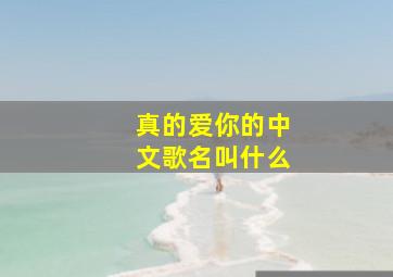 真的爱你的中文歌名叫什么