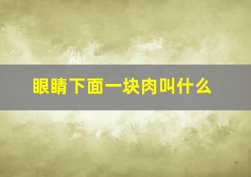 眼睛下面一块肉叫什么