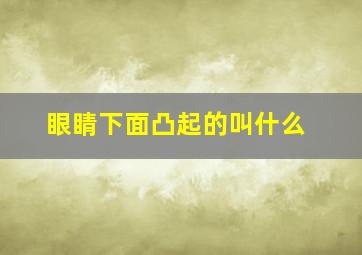 眼睛下面凸起的叫什么