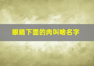 眼睛下面的肉叫啥名字