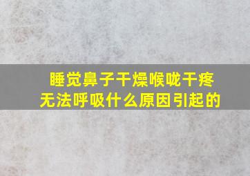 睡觉鼻子干燥喉咙干疼无法呼吸什么原因引起的