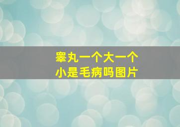 睾丸一个大一个小是毛病吗图片