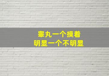 睾丸一个摸着明显一个不明显