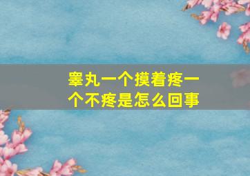 睾丸一个摸着疼一个不疼是怎么回事