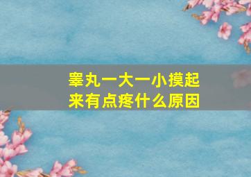 睾丸一大一小摸起来有点疼什么原因