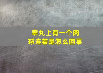 睾丸上有一个肉球连着是怎么回事