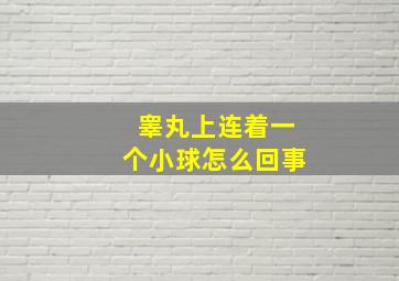 睾丸上连着一个小球怎么回事