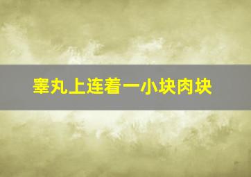 睾丸上连着一小块肉块