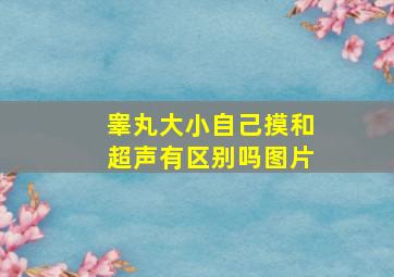 睾丸大小自己摸和超声有区别吗图片