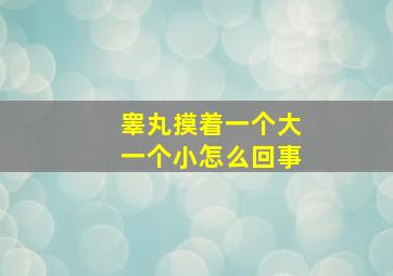 睾丸摸着一个大一个小怎么回事