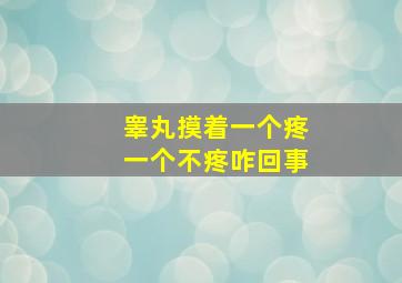 睾丸摸着一个疼一个不疼咋回事