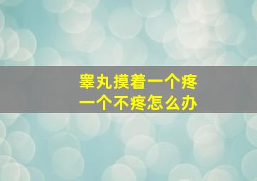 睾丸摸着一个疼一个不疼怎么办