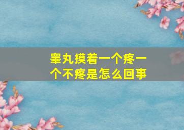 睾丸摸着一个疼一个不疼是怎么回事