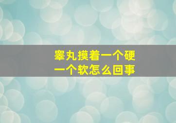 睾丸摸着一个硬一个软怎么回事